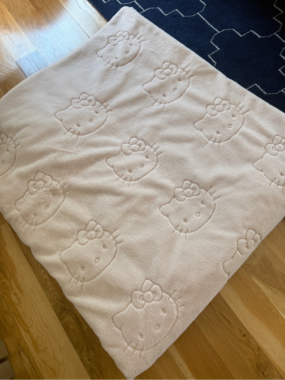 Pottery Barn Kids Pink Embossed Hello Kitty Plush Comforter